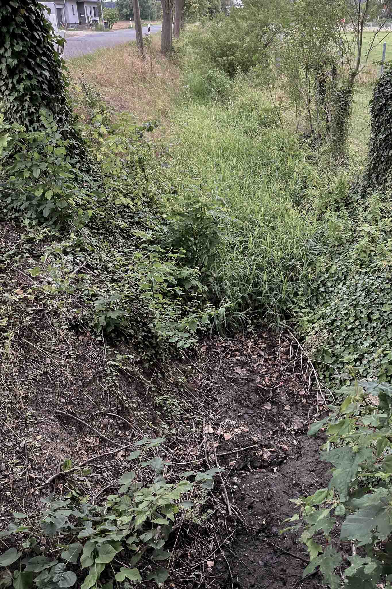 Hauptgraben in Schladen Juli 2026